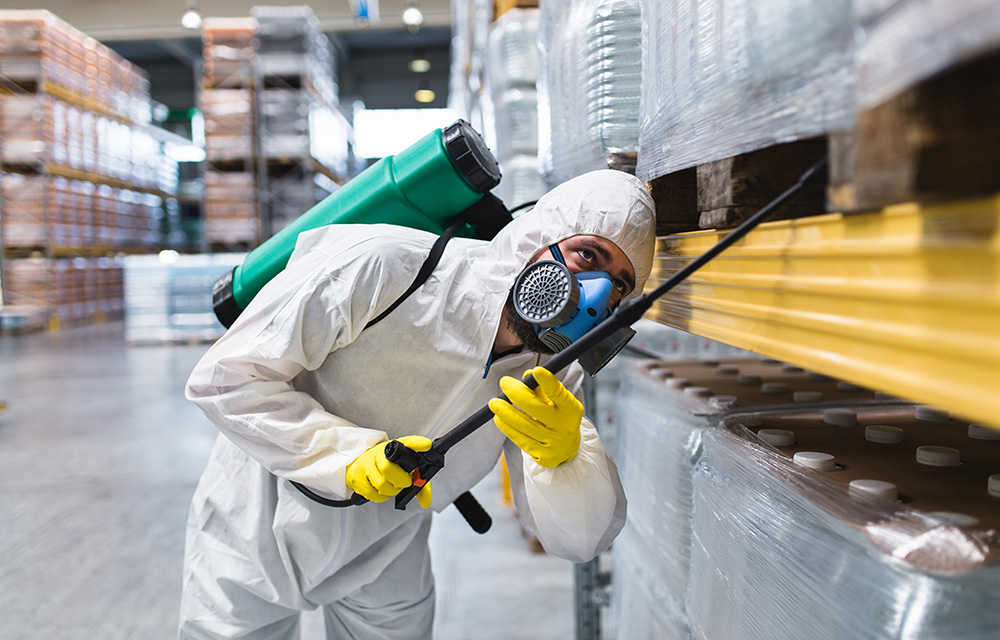 Pest Prevention Service Hull